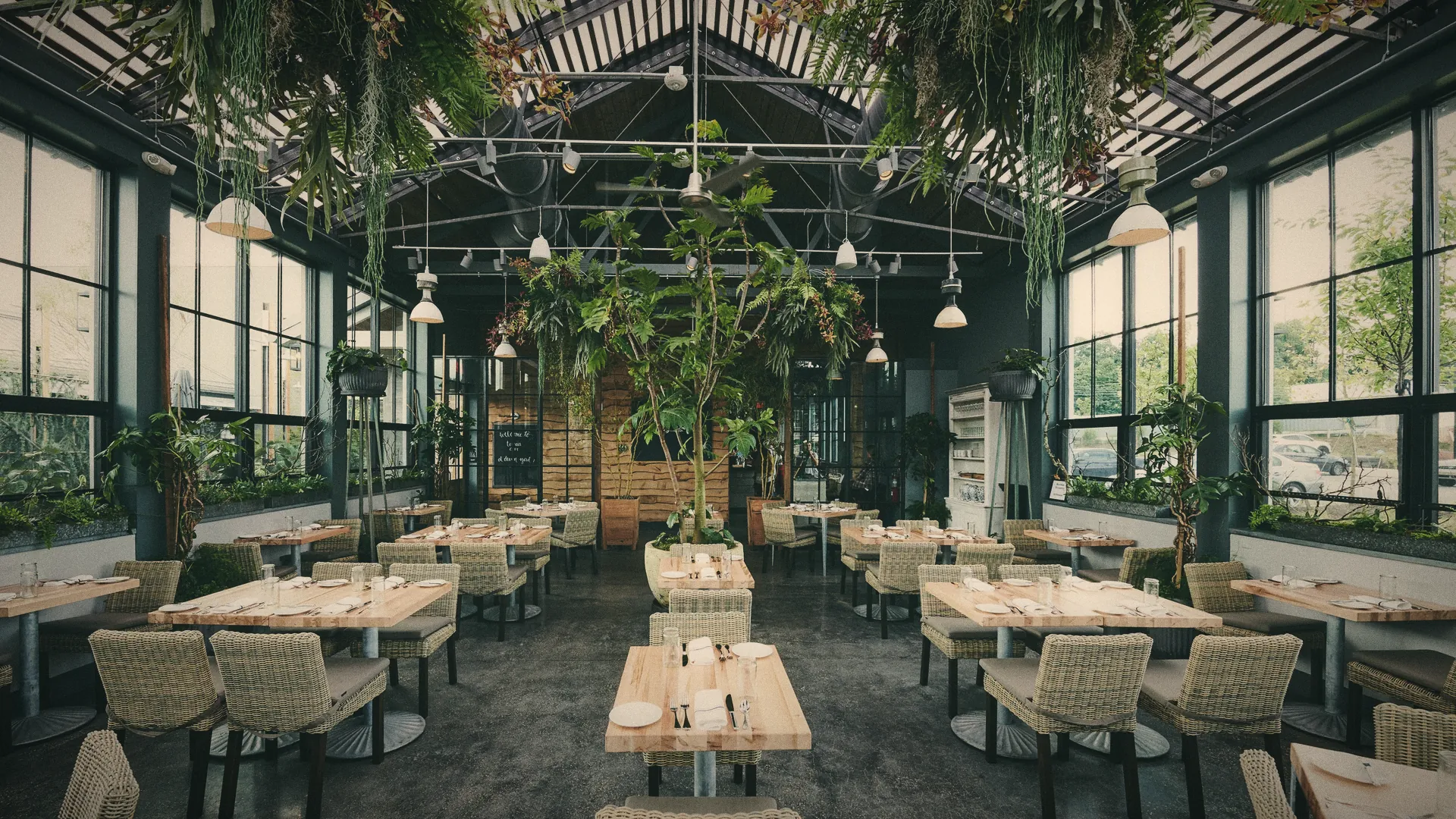 A glasshouse café with trees growing inside it