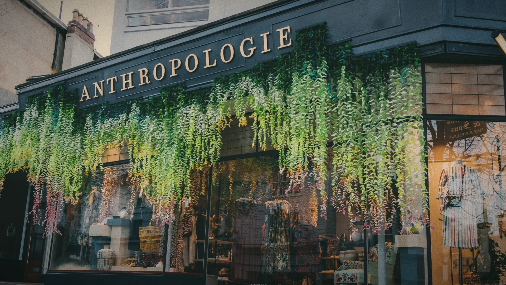 A shopfront on the King’s Road under a curtain of hanging plants