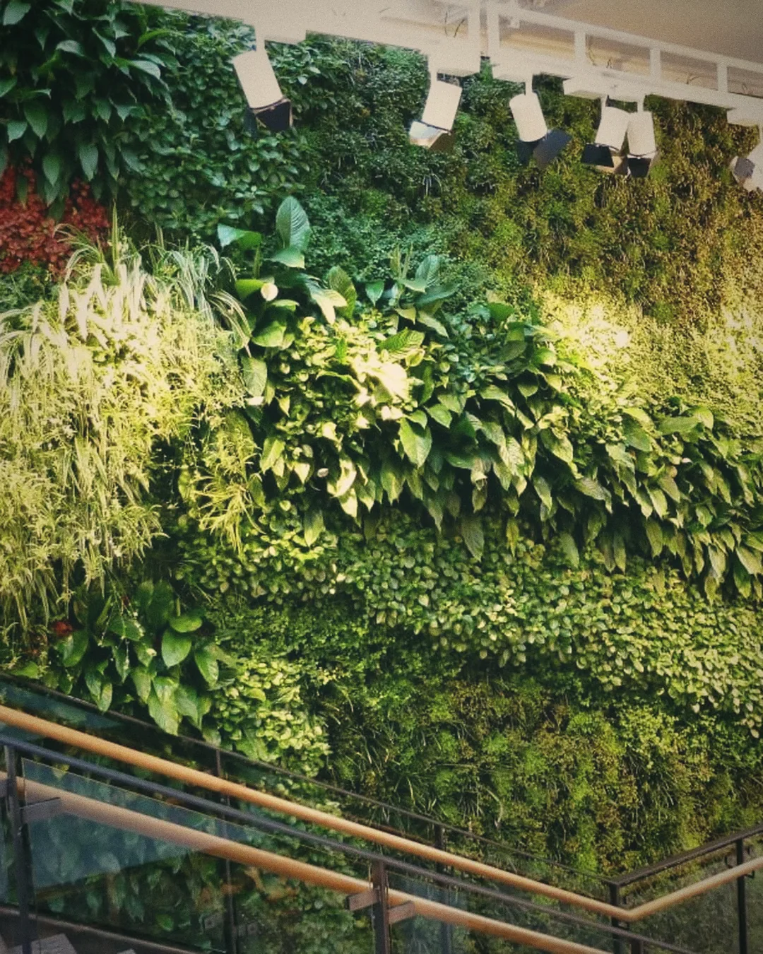 A living wall of plants rising beside a staircase