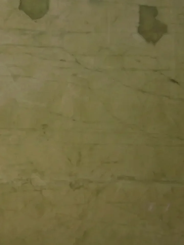Specimen M-01: plaster wall, olive